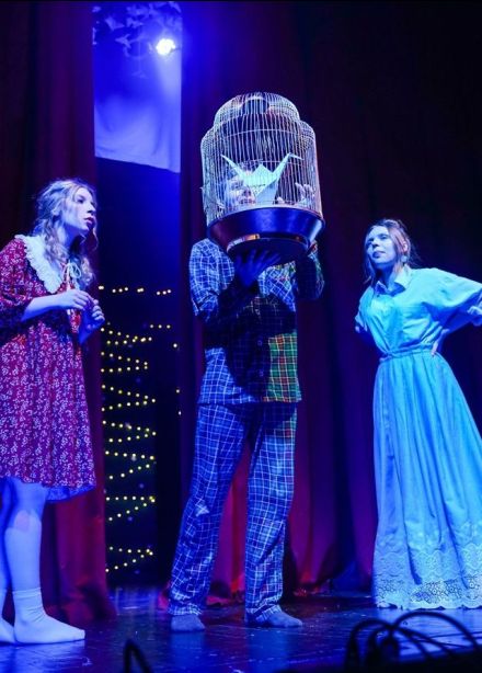 Спектакль «Синяя птица»