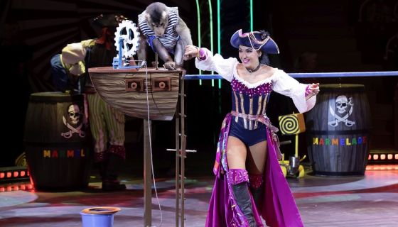 Цирк «Шоу-Вау! Шоколадная сказка»