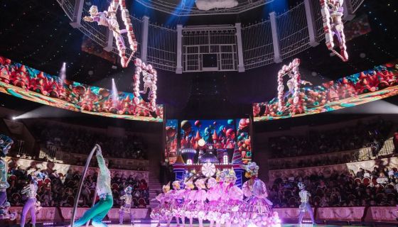 Цирк «Шоу-Вау! Шоколадная сказка»