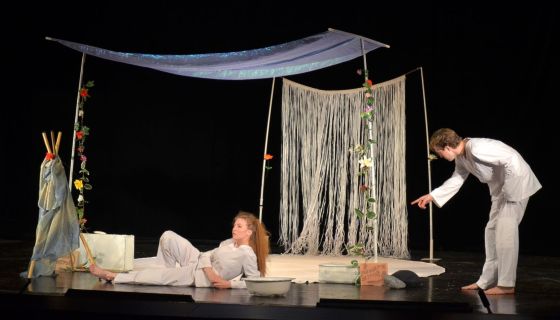 Спектакль «Дневник Евы»