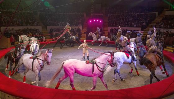 Цирк «Новогодняя история: Клоун, ёлка, чудеса!»