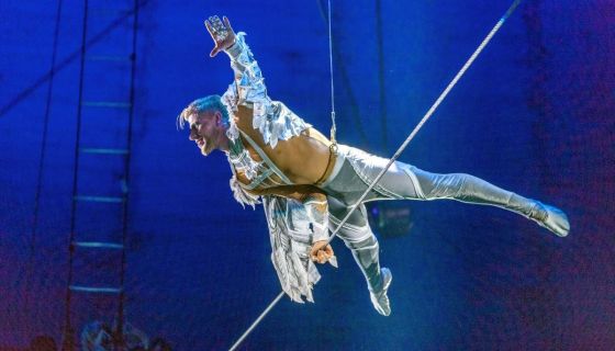 Цирк «Новогодняя история: Клоун, ёлка, чудеса!»