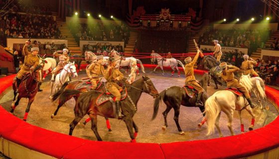 Цирк «Новогодняя история: Клоун, ёлка, чудеса!»