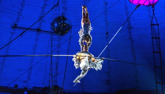 Цирк «Новогодняя история: Клоун, ёлка, чудеса!»