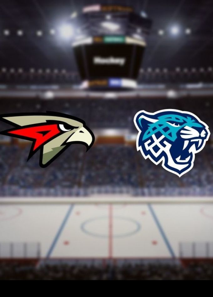 Хоккей. ХК «Омские Ястребы» — ХК «Снежные Барсы»