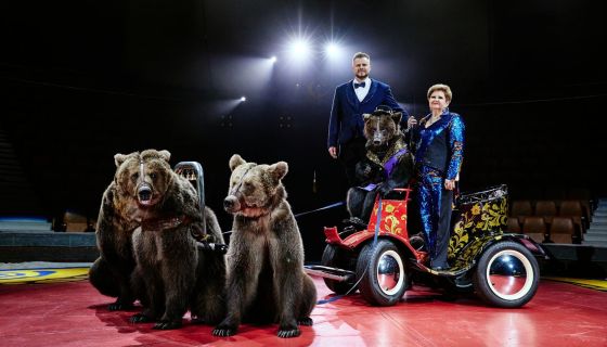 Цирк Филатовых