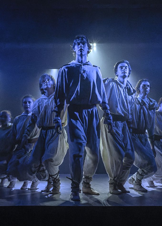 Чайка Livingston