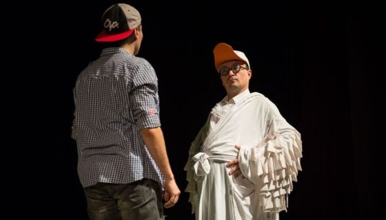 Спектакль «Путешествие Нильса с дикими гусями»