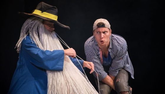 Спектакль «Путешествие Нильса с дикими гусями»