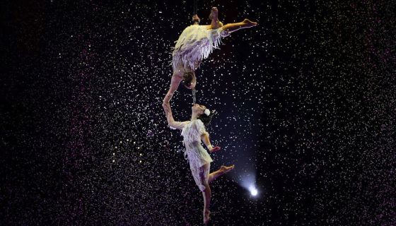 Цирк Влада Гончарова. Шоу «Балаган»