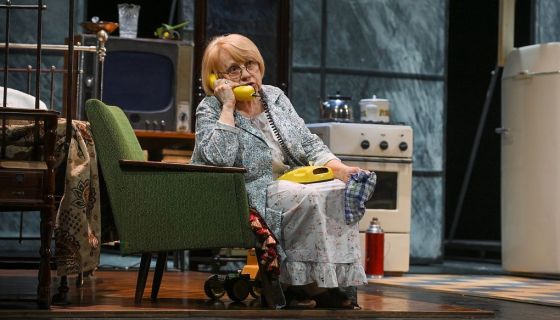 Спектакль «Похороните меня за плинтусом»