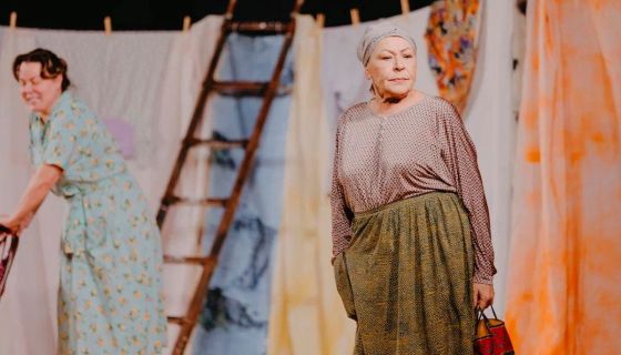 Спектакль «Любовь и голуби»